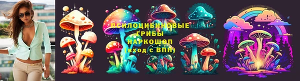 спайс Белокуриха