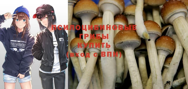 спайс Белокуриха